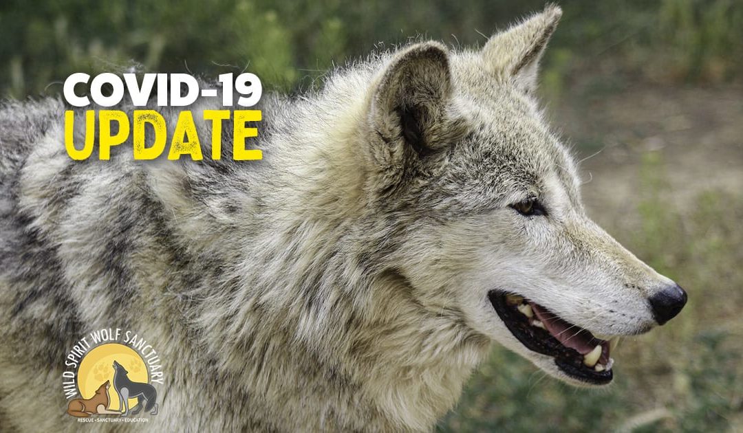 COVID-19 Update
