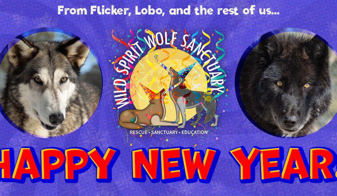 Happy New Year!