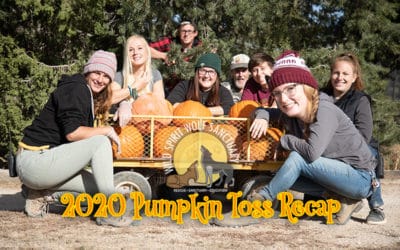 2020 Pumpkin Toss Enrichment Recap