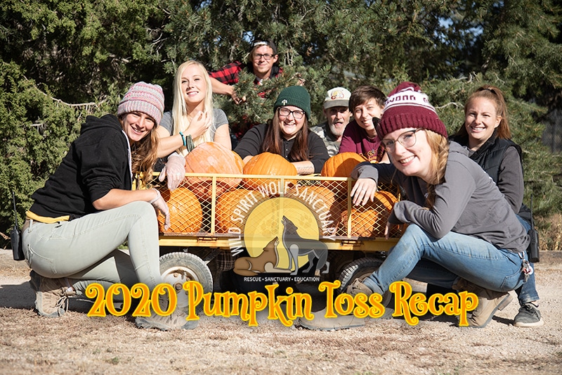 2020 Pumpkin Toss Enrichment Event