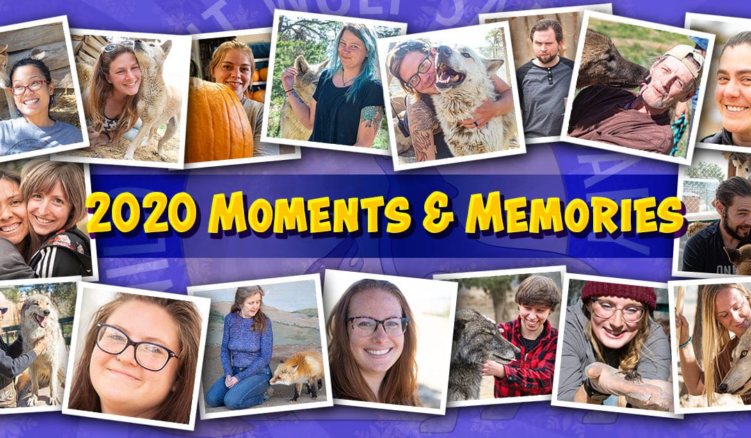 2020 Moments and Memories