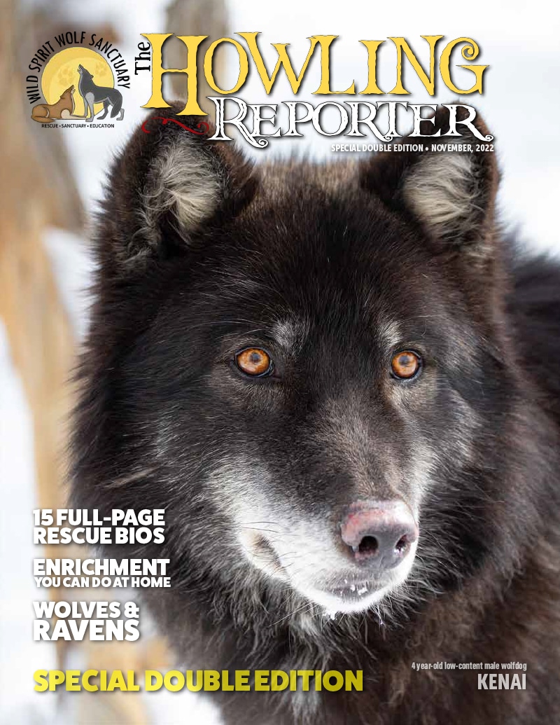 November 2022 Howling Reporter cover