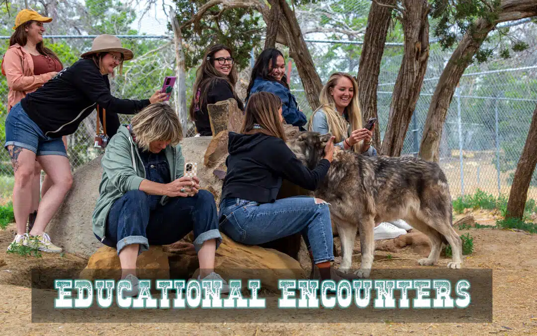 Introducing: Educational Encounters!