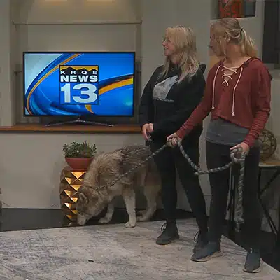 KRQE News 13