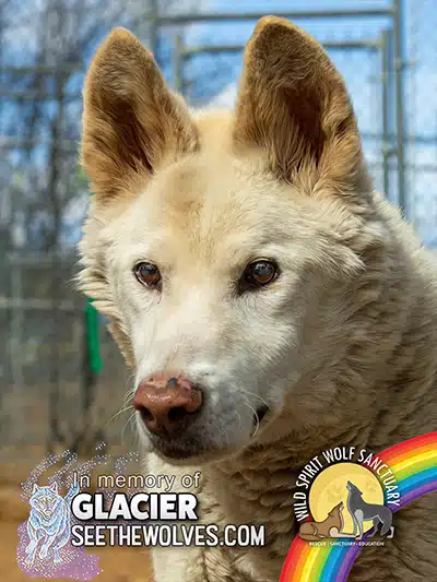 Memorial-Glacier-Magnet