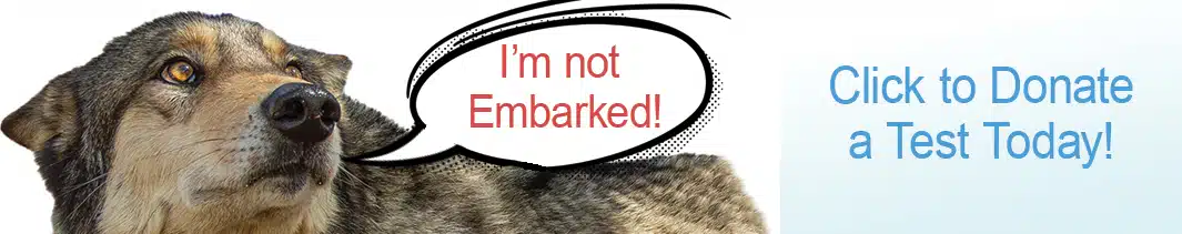 Not Embarked Final