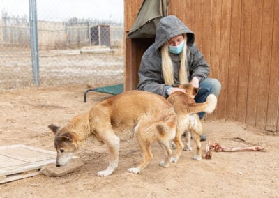 Our executive director spending time with singing dogs Bono and Reba