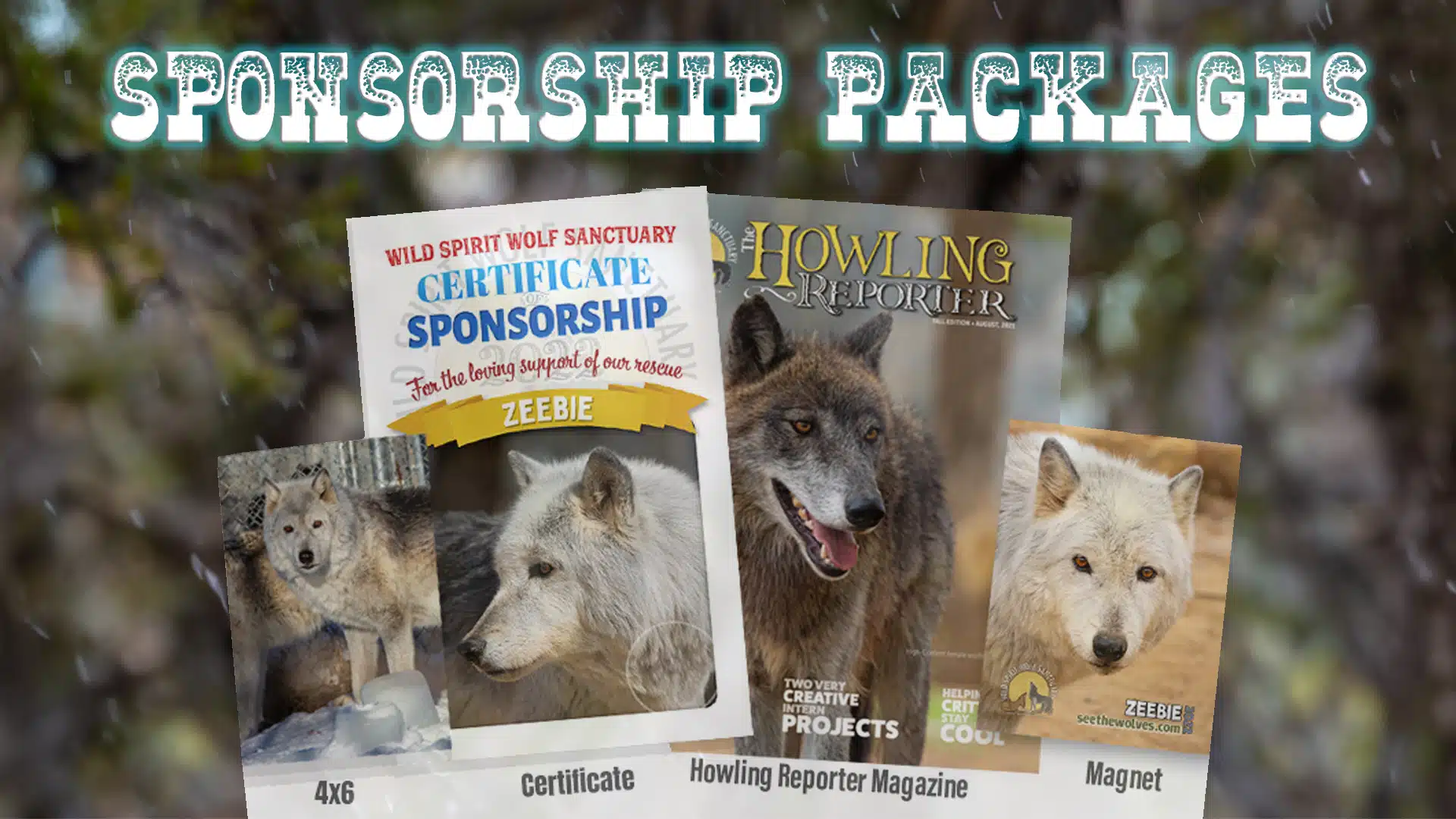 Sponsorship Packages PITP