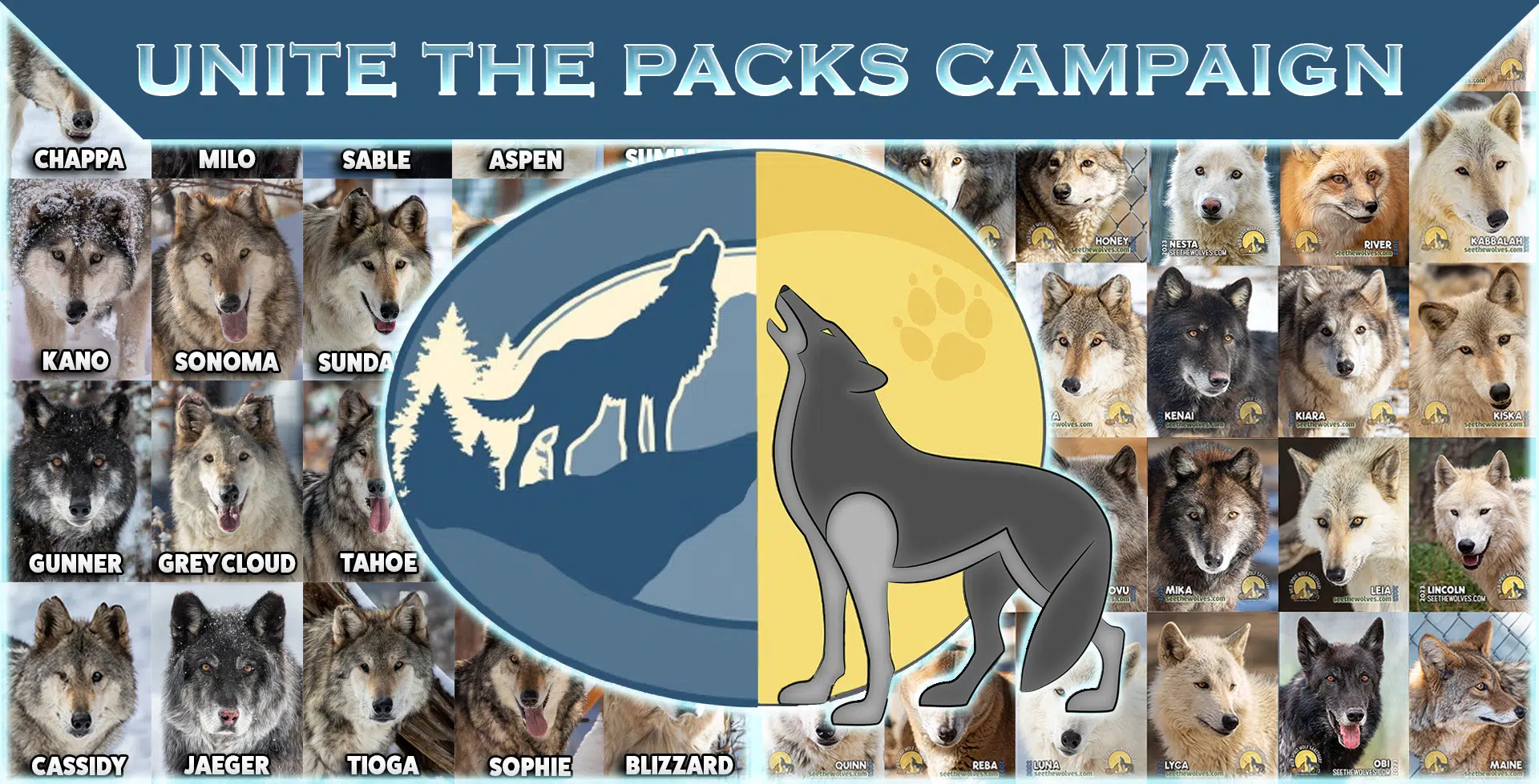 Unite the Packs Campaign Banner Draco