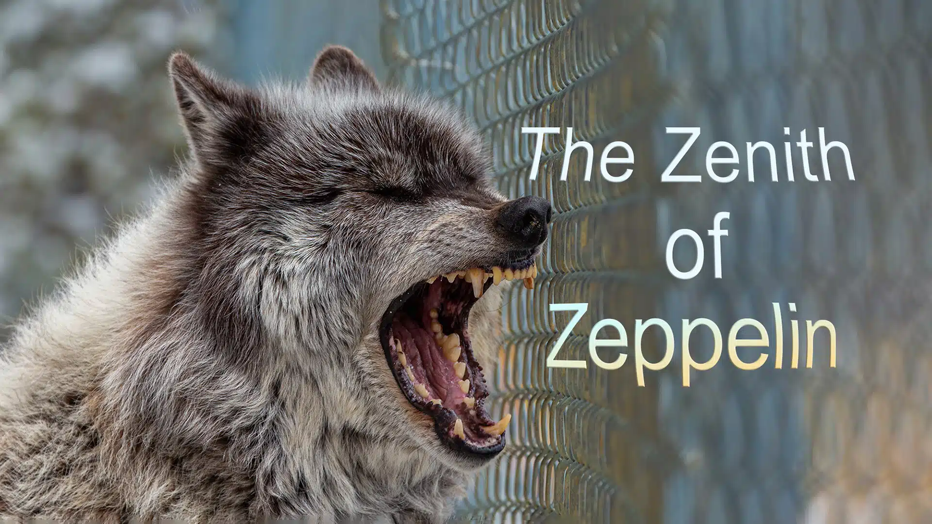 Zeppelin PITP Banner 2