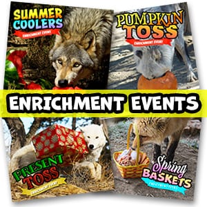 Enrichment Events