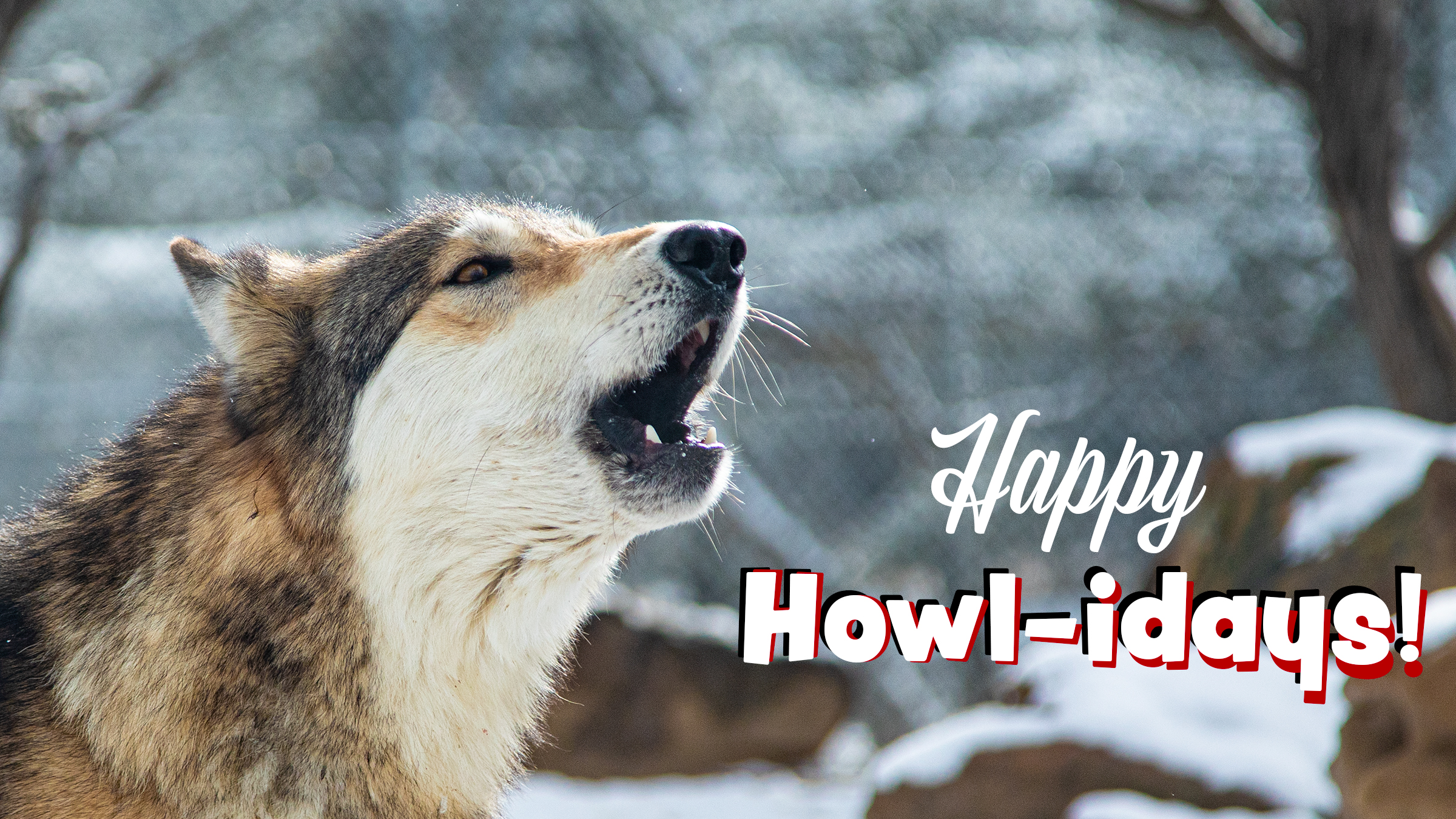 Howl-iday Fundraiser