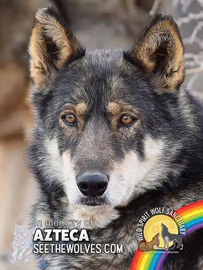 memorial-Azteca-magnet