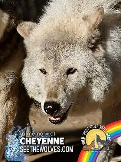 memorial-Cheyenne-magnet