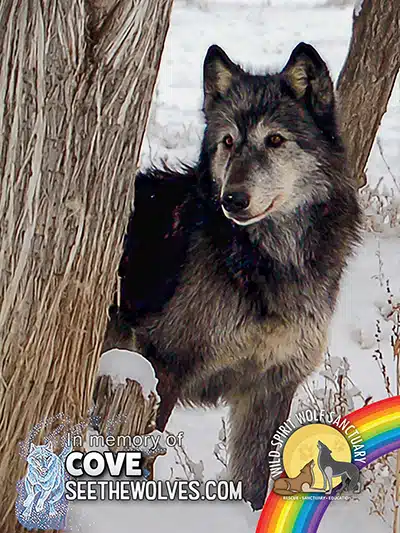 memorial-Cove-magnet