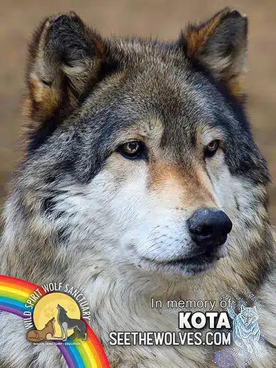 memorial-Kota-magnet