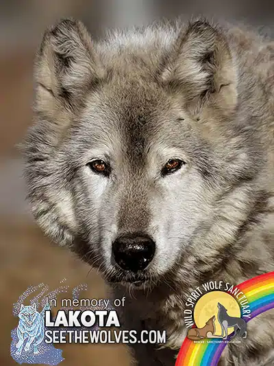 memorial-Lakota-magnet