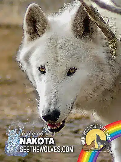 memorial-Nakota-magnet