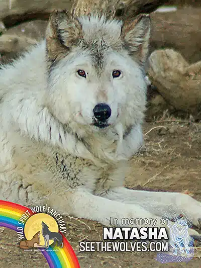 memorial-Natasha-magnet