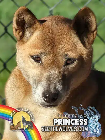 memorial-Princess-magnet