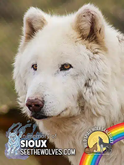 memorial-Sioux-magnet