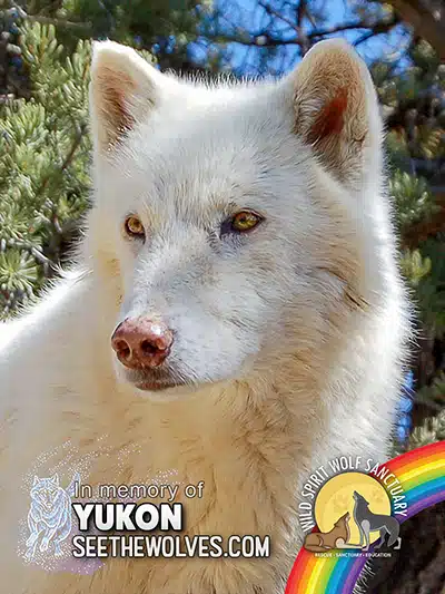 memorial-Yukon-magnet