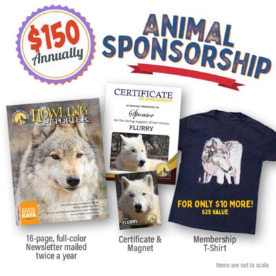 Sponsor a Rescue